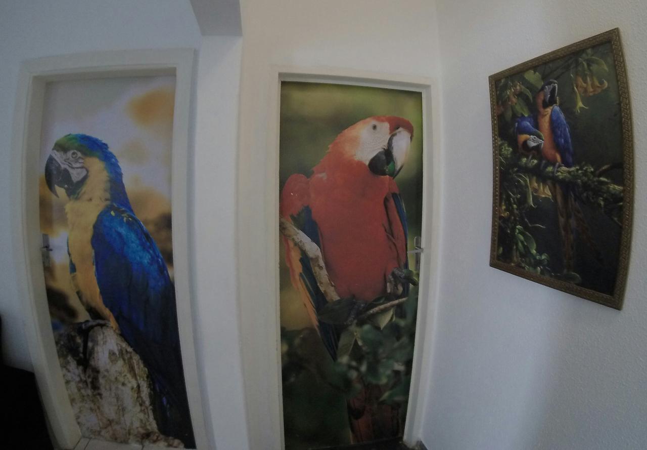 קויאבה Hotel Pousada And Safari מראה חיצוני תמונה